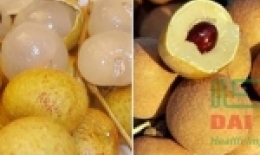 Cách nhận biết nhãn lồng Hưng Yên xịn