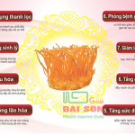 Đông trùng hạ thảo tốt đến mức nào?