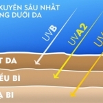 TIA CỰC TÍM: Bạn chớ coi thường!