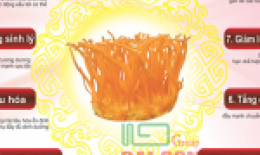 Đông trùng hạ thảo tốt đến mức nào?