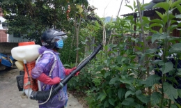 Quảng Nam bùng phát dịch sốt xuất huyết