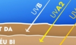 TIA CỰC TÍM: Bạn chớ coi thường!