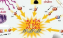 Gốc tự do và chất chống oxy hóa